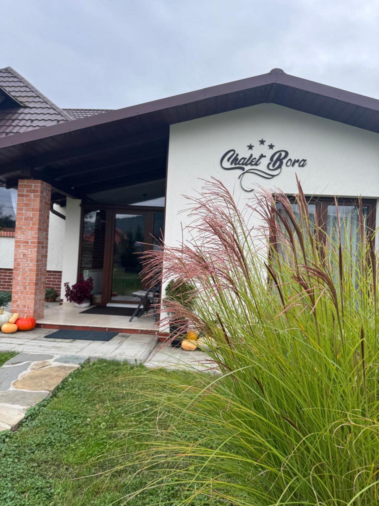 Chalet Bora Viseu de Jos Esterno foto