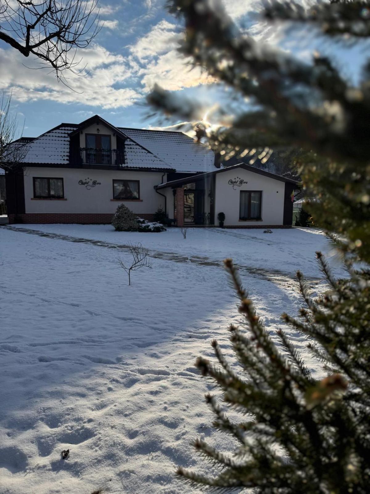 Chalet Bora Viseu de Jos Esterno foto