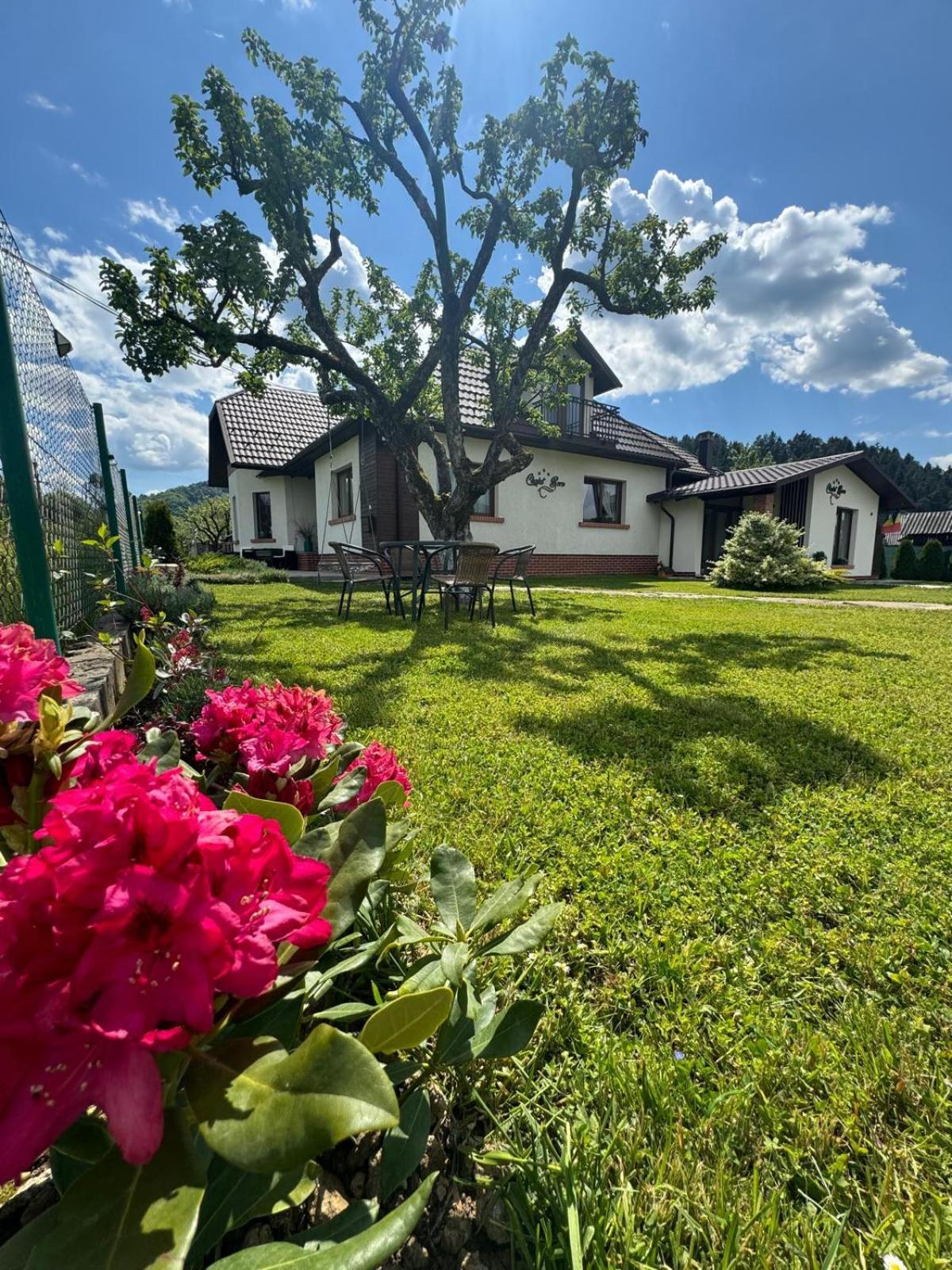 Chalet Bora Viseu de Jos Esterno foto