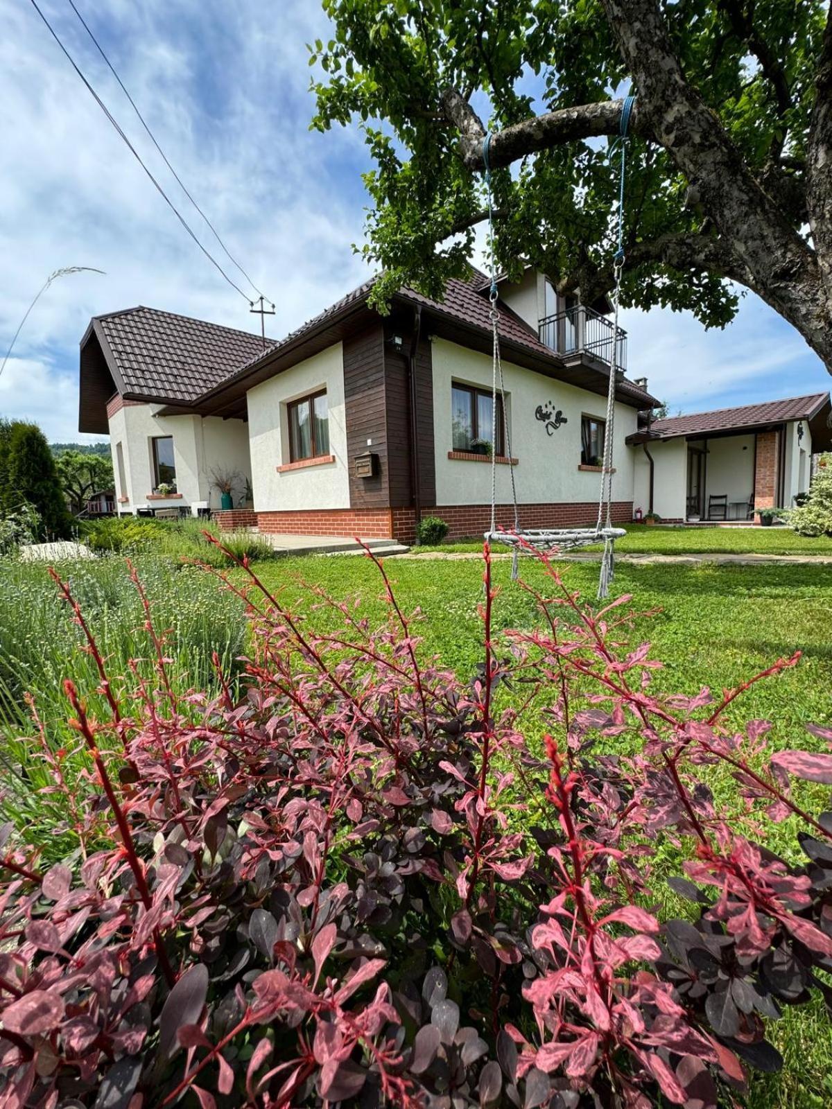 Chalet Bora Viseu de Jos Esterno foto