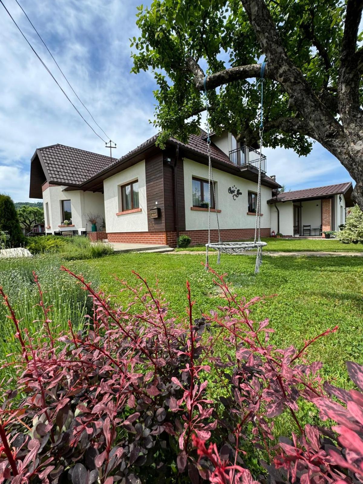 Chalet Bora Viseu de Jos Esterno foto