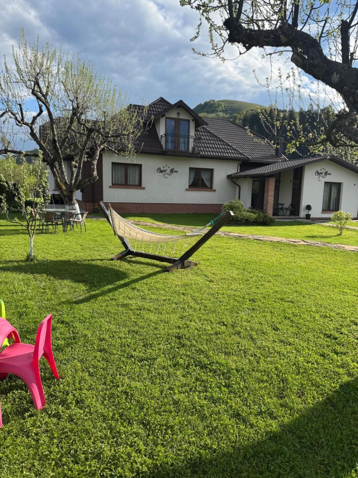 Chalet Bora Viseu de Jos Esterno foto