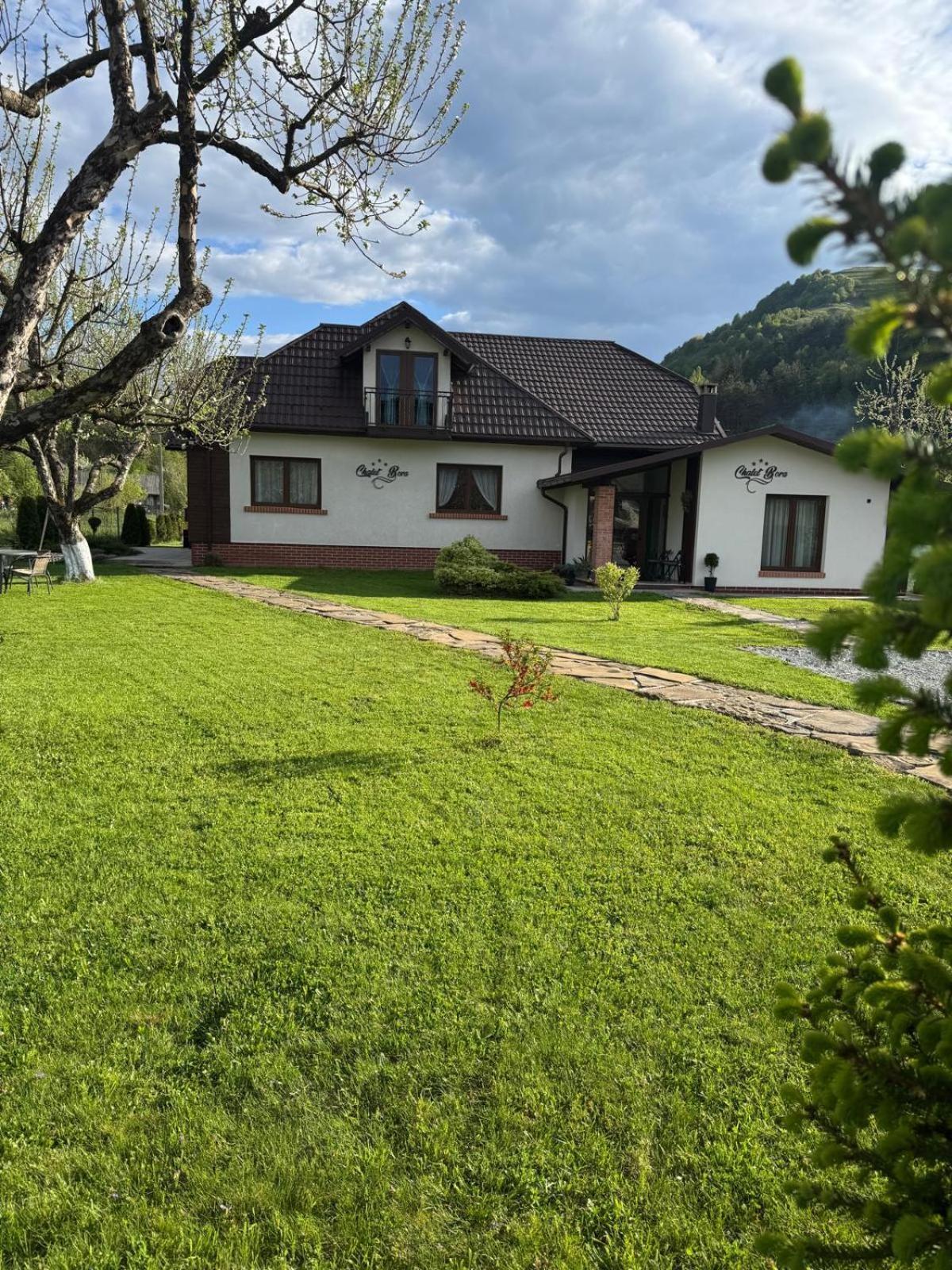 Chalet Bora Viseu de Jos Esterno foto